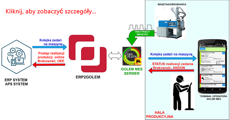 ERP2GOLEM